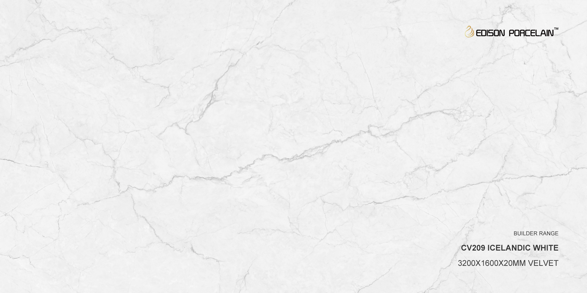 Icelandic White CV209