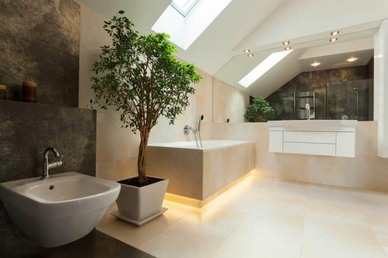 Large Format Porcelain Slabs