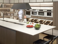 //imrorwxhrpkoli5q.ldycdn.com/cloud/lkBpmKjolpSRjlnkoqorjp/Are-Porcelain-Slab-Embedded-Stove-Countertops-Worth-The-Investment.jpg