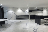 //imrorwxhrpkoli5q.ldycdn.com/cloud/llBpmKjolpSRjlkqqpmljm/Porcelain-Slab-Vs-Marble-Which-Is-Easier-To-Maintain.jpg
